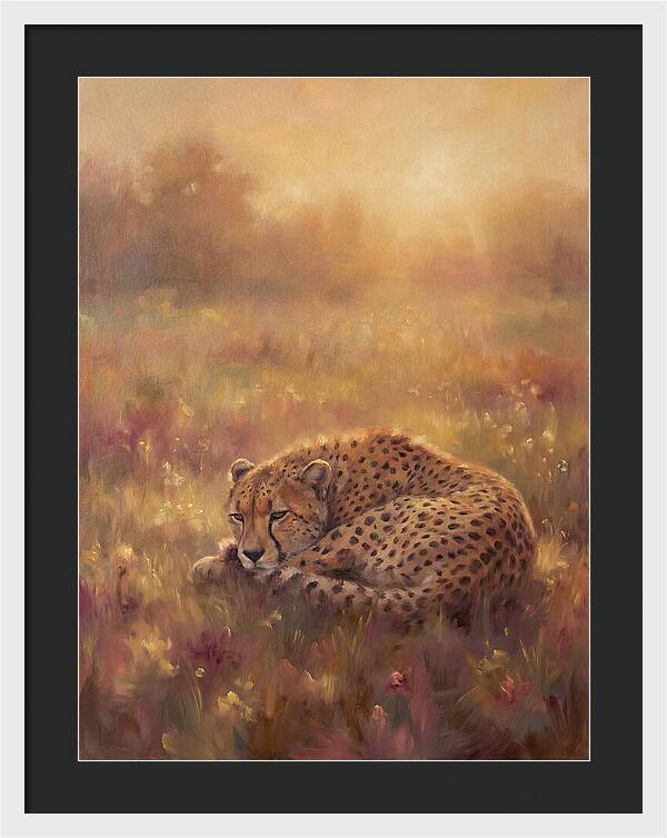 Cheetah Resting In Field