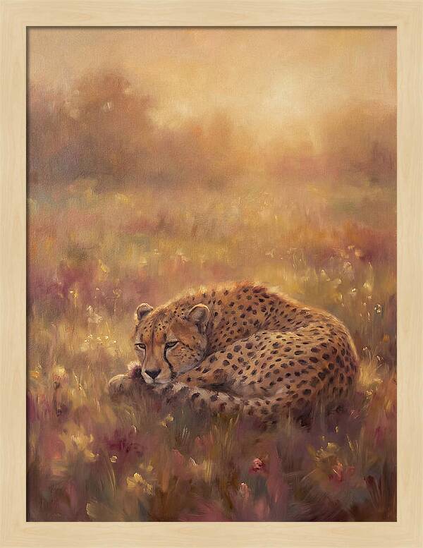 Cheetah Resting In Field