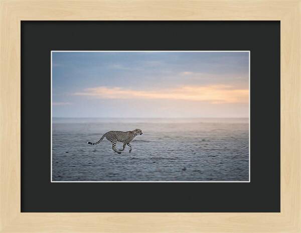 Cheetah Running At Dusk