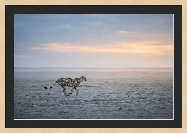 Cheetah Running At Dusk
