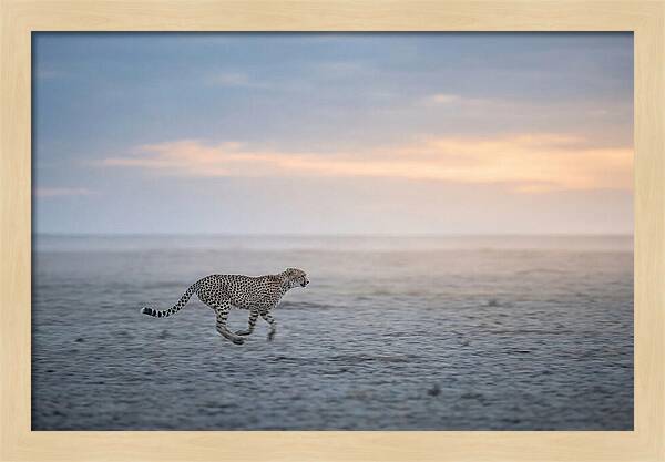 Cheetah Running At Dusk