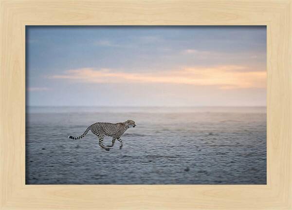 Cheetah Running At Dusk