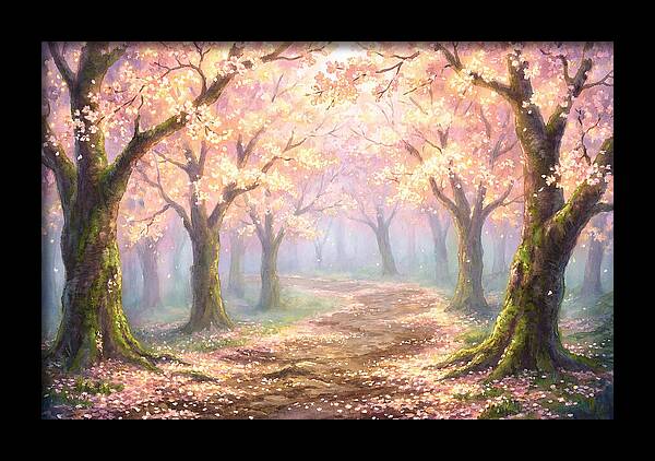 Cherry Blossom Path