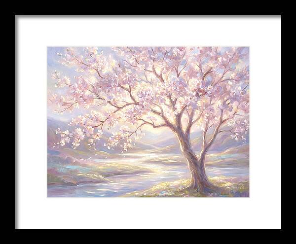 Cherry Blossom Serenity