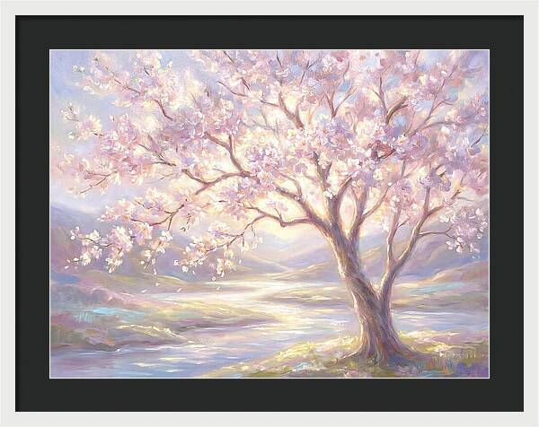 Cherry Blossom Serenity