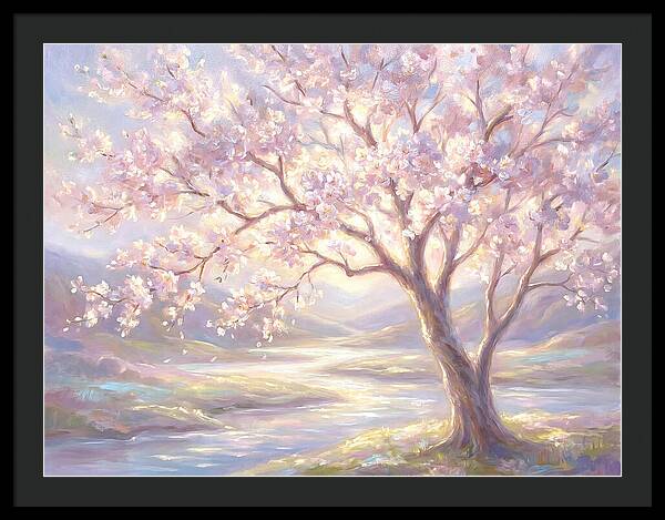 Cherry Blossom Serenity