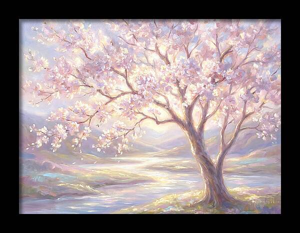 Cherry Blossom Serenity