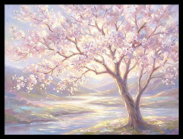 Cherry Blossom Serenity