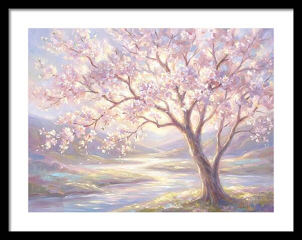 Cherry Blossom Serenity