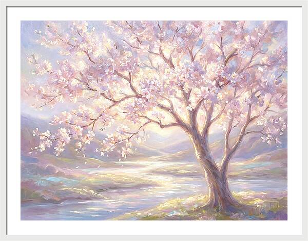Cherry Blossom Serenity