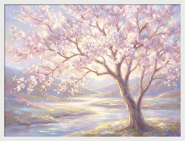 Cherry Blossom Serenity
