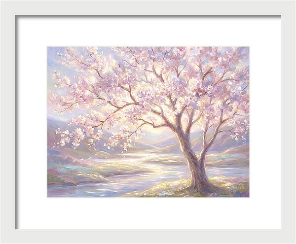 Cherry Blossom Serenity