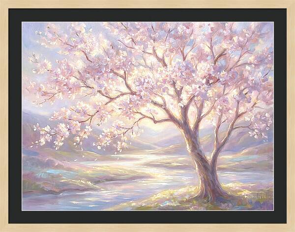 Cherry Blossom Serenity