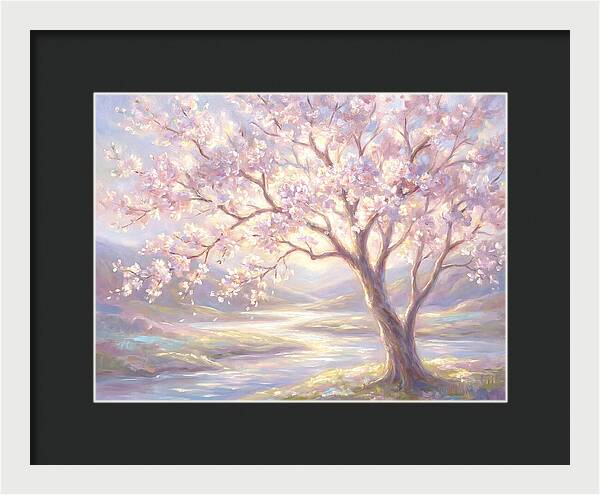 Cherry Blossom Serenity