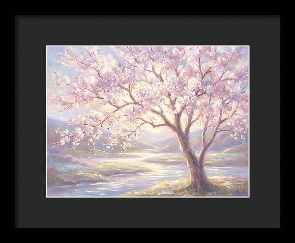 Cherry Blossom Serenity