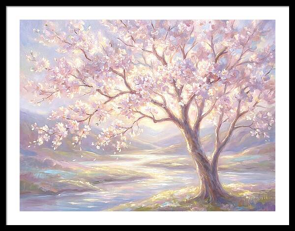 Cherry Blossom Serenity