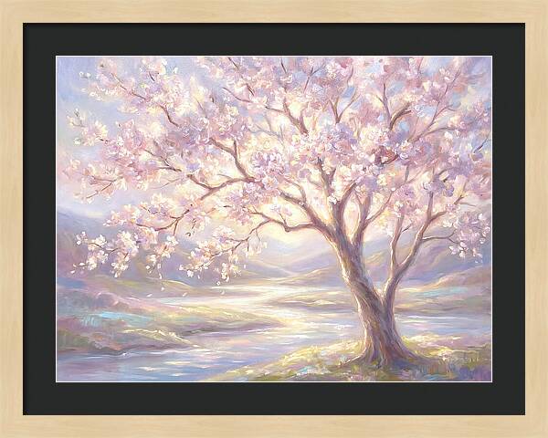 Cherry Blossom Serenity
