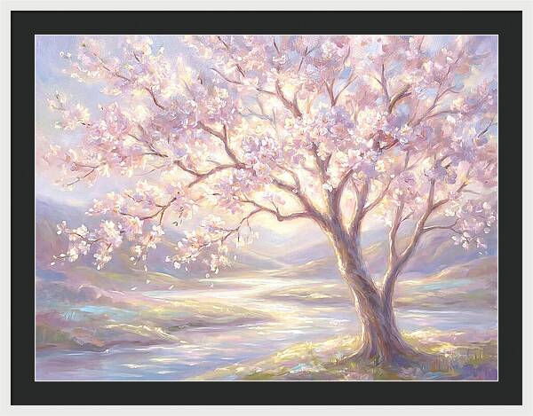 Cherry Blossom Serenity