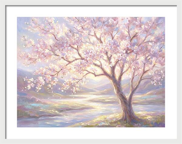 Cherry Blossom Serenity
