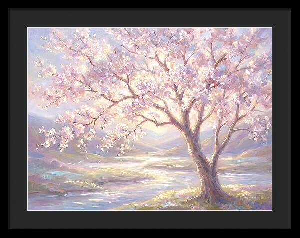 Cherry Blossom Serenity