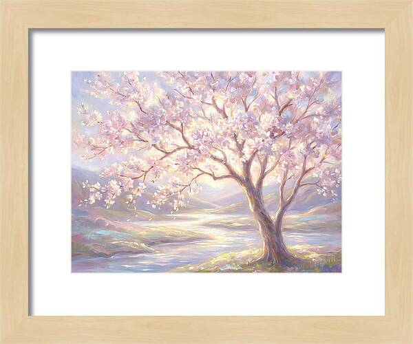 Cherry Blossom Serenity