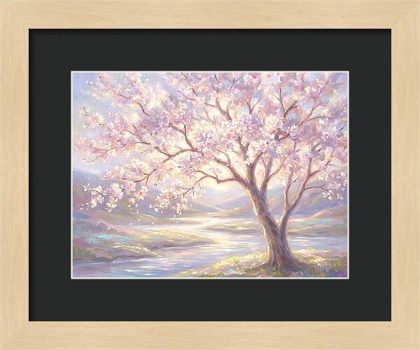 Cherry Blossom Serenity
