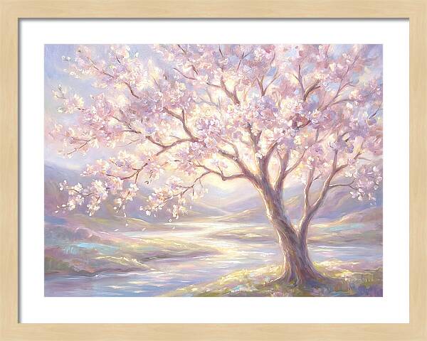 Cherry Blossom Serenity