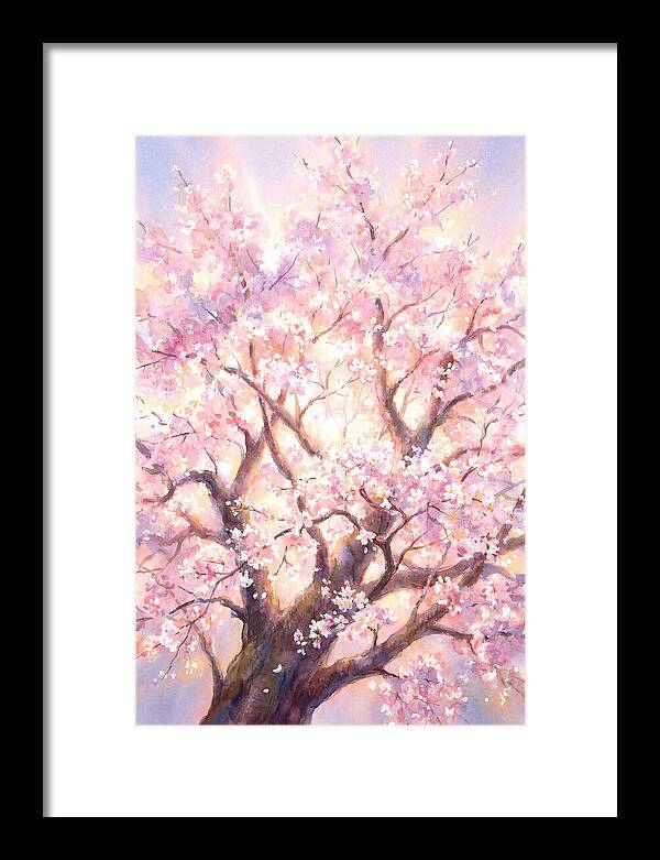 Cherry Blossom Tree