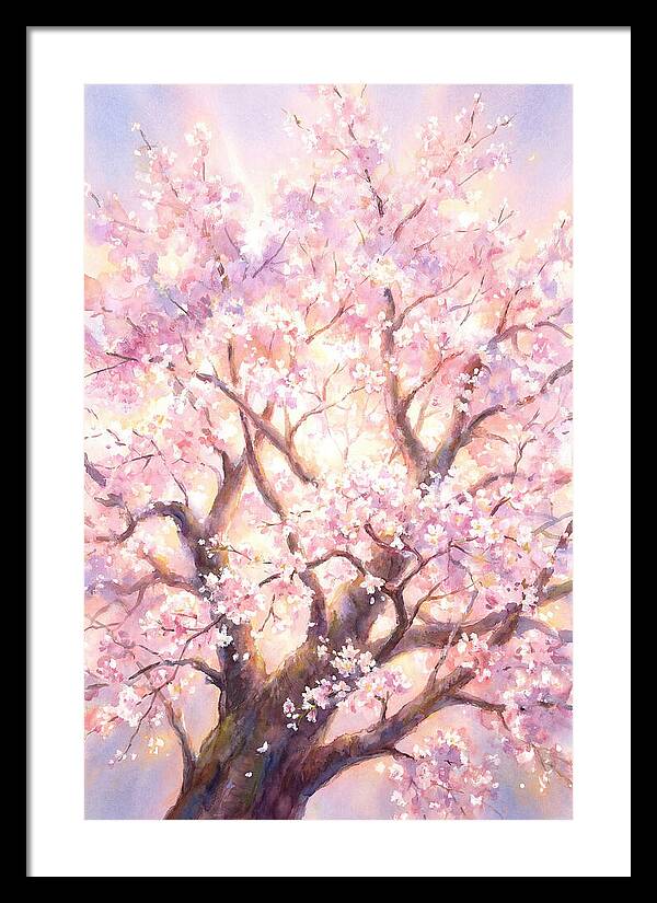 Cherry Blossom Tree