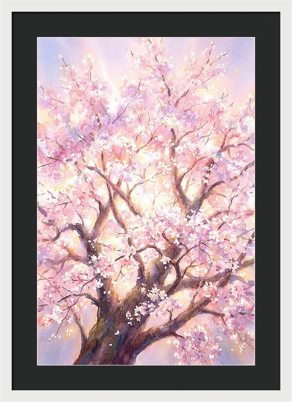 Cherry Blossom Tree