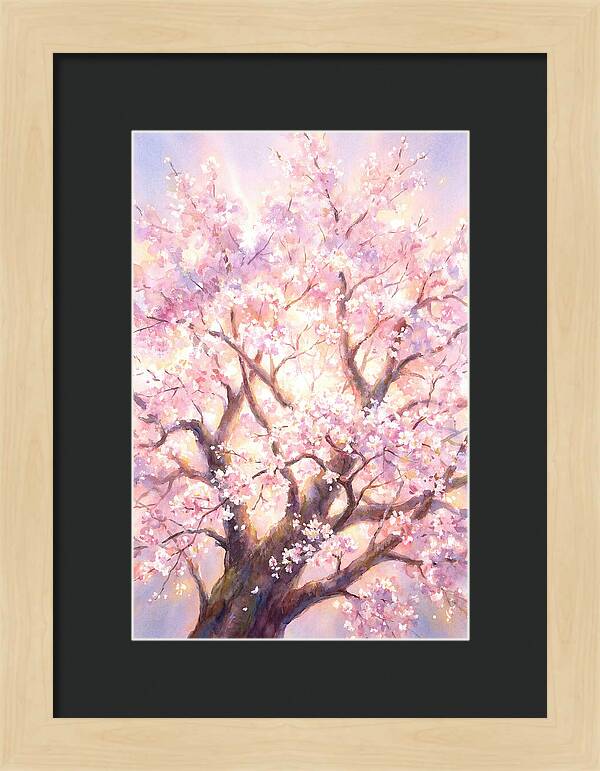 Cherry Blossom Tree
