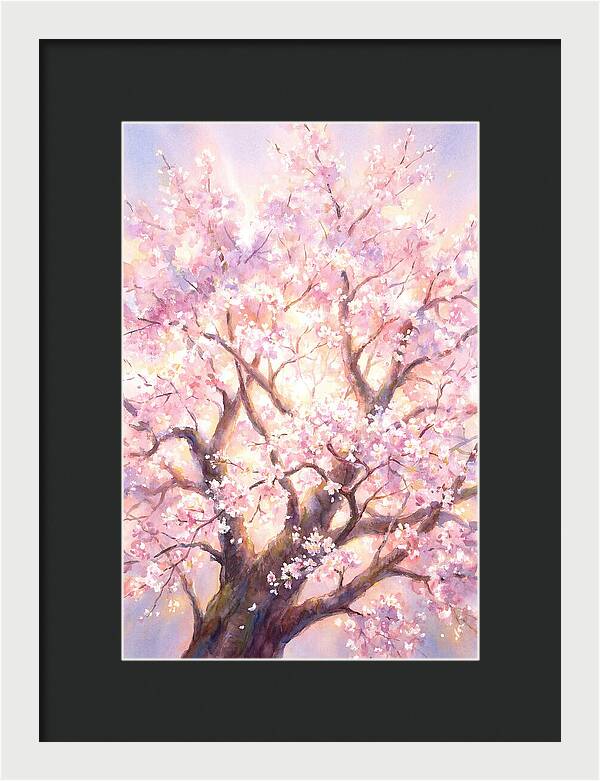 Cherry Blossom Tree