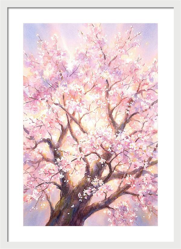 Cherry Blossom Tree
