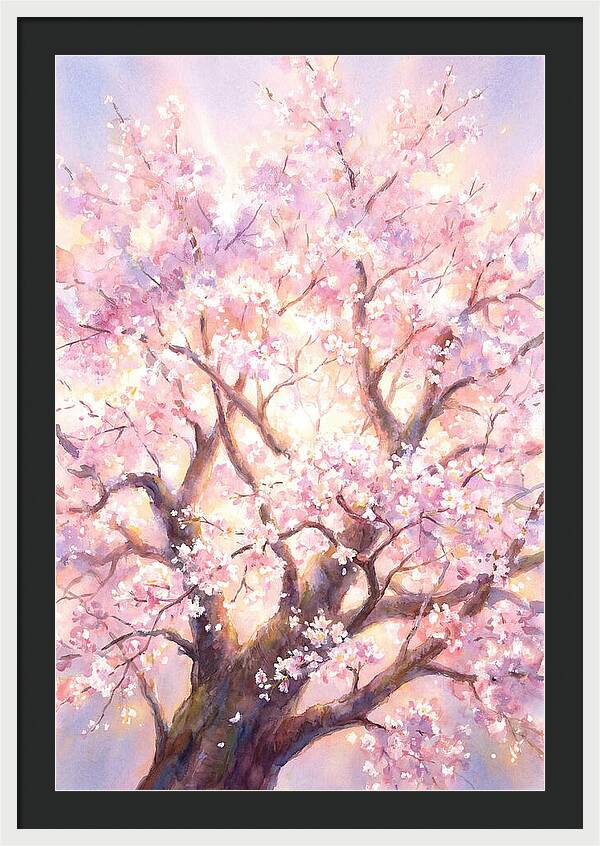 Cherry Blossom Tree