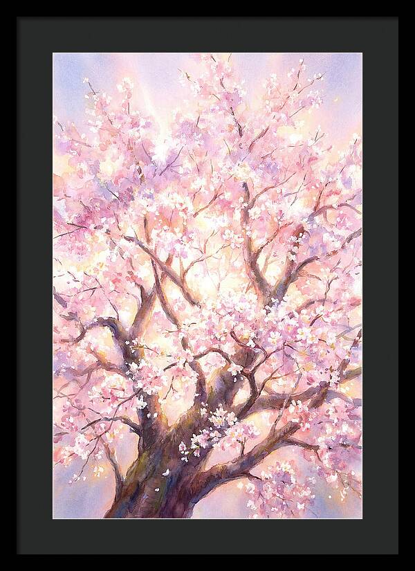 Cherry Blossom Tree