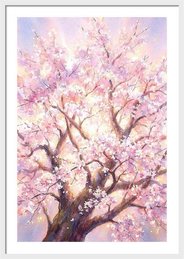 Cherry Blossom Tree