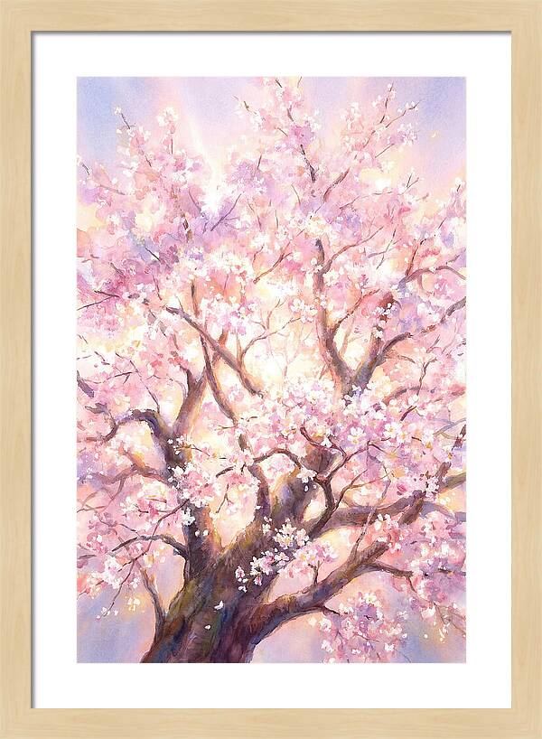 Cherry Blossom Tree