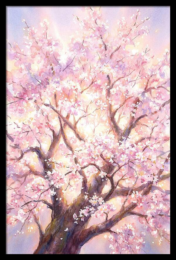 Cherry Blossom Tree