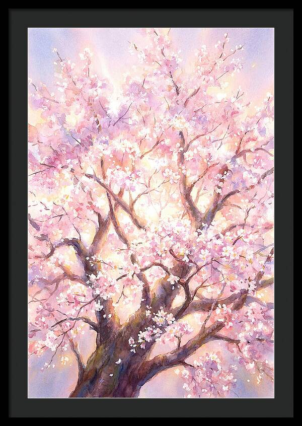 Cherry Blossom Tree