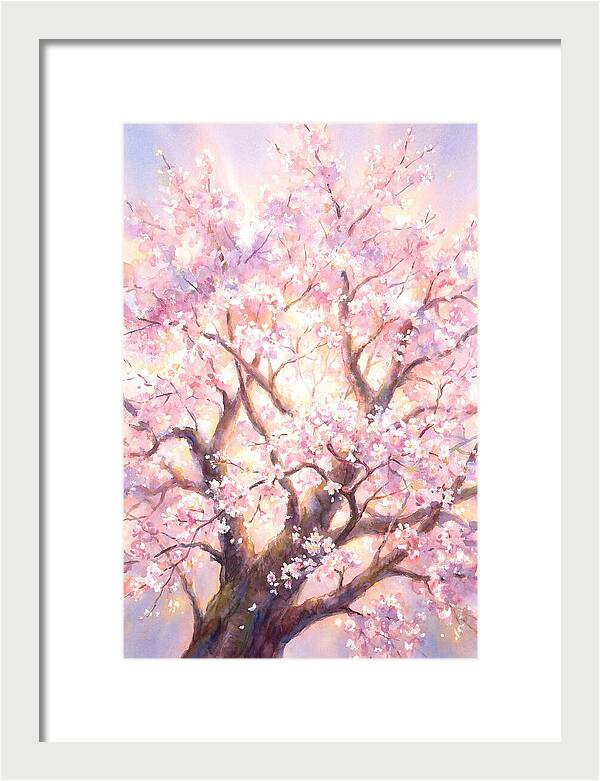 Cherry Blossom Tree