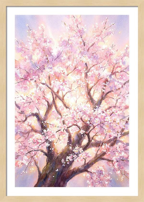 Cherry Blossom Tree