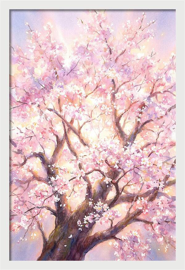 Cherry Blossom Tree