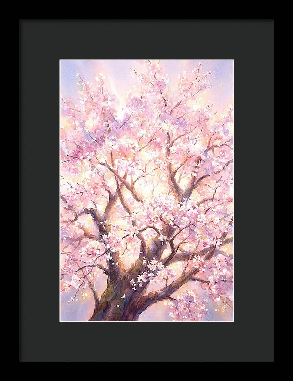 Cherry Blossom Tree