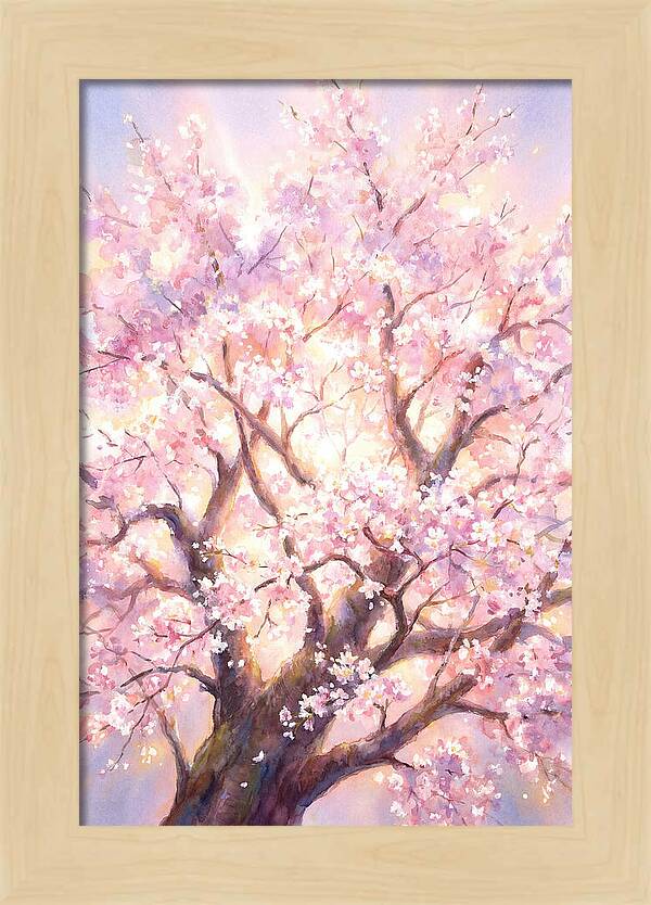 Cherry Blossom Tree