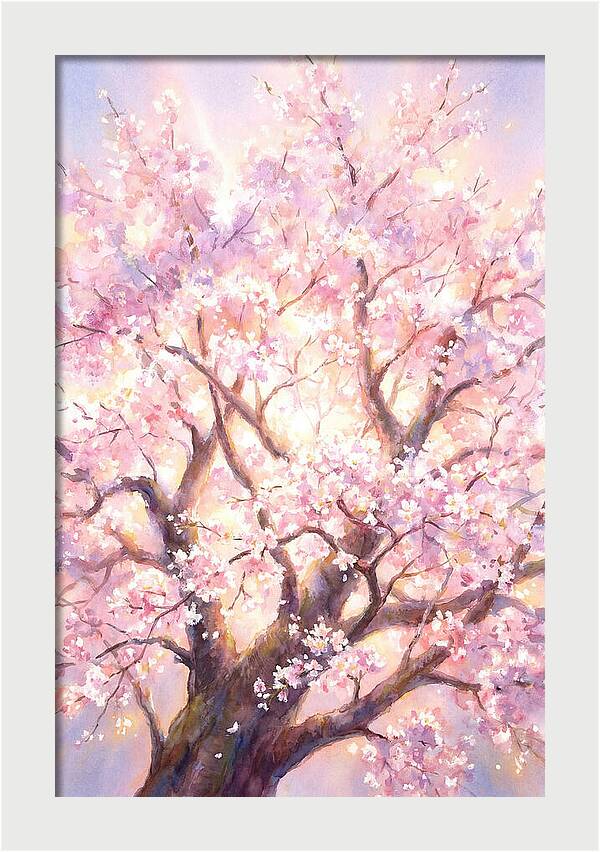 Cherry Blossom Tree