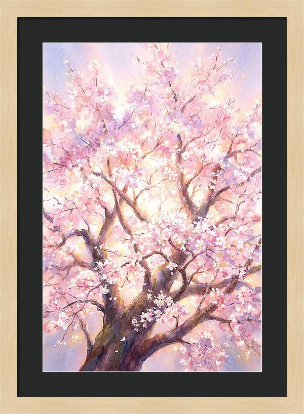 Cherry Blossom Tree
