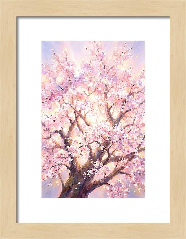Cherry Blossom Tree
