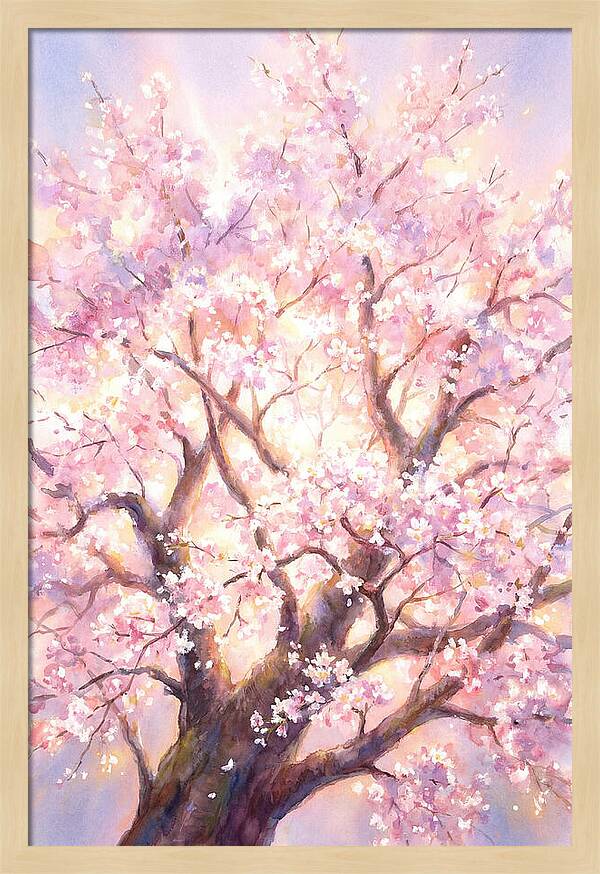 Cherry Blossom Tree