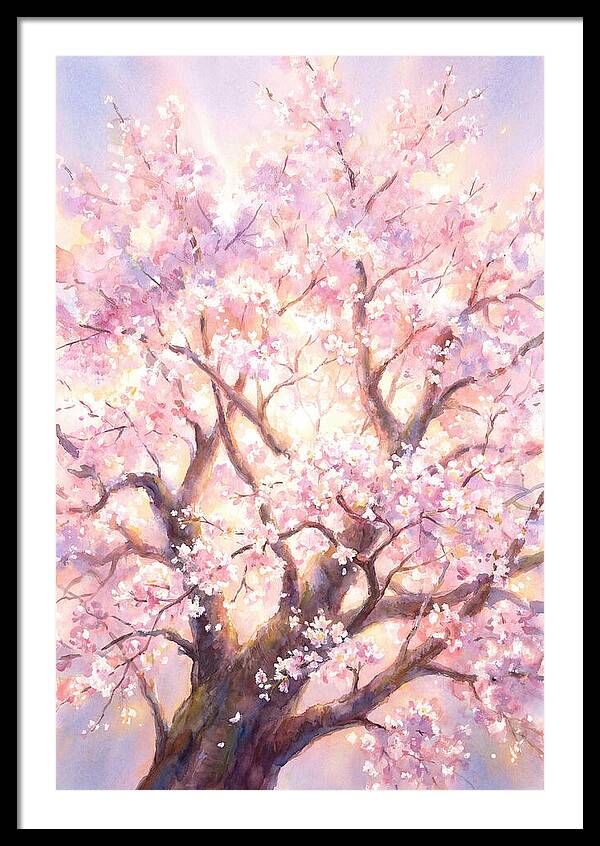 Cherry Blossom Tree