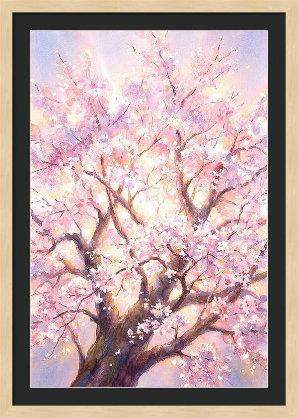 Cherry Blossom Tree
